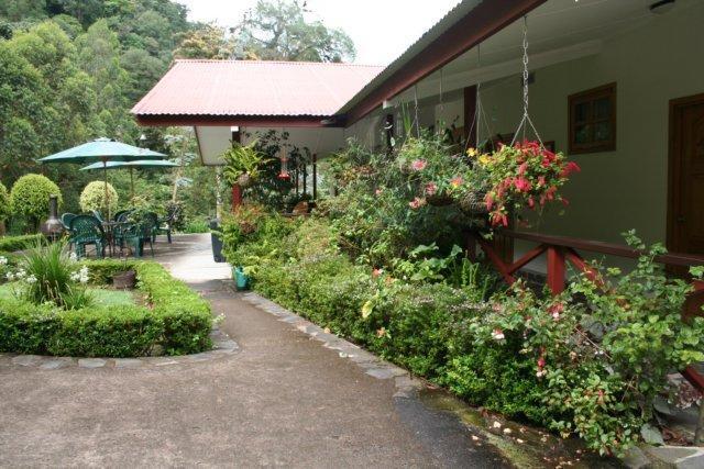 Cielito Sur Bed & Breakfast Inn Cerro Punta Extérieur photo
